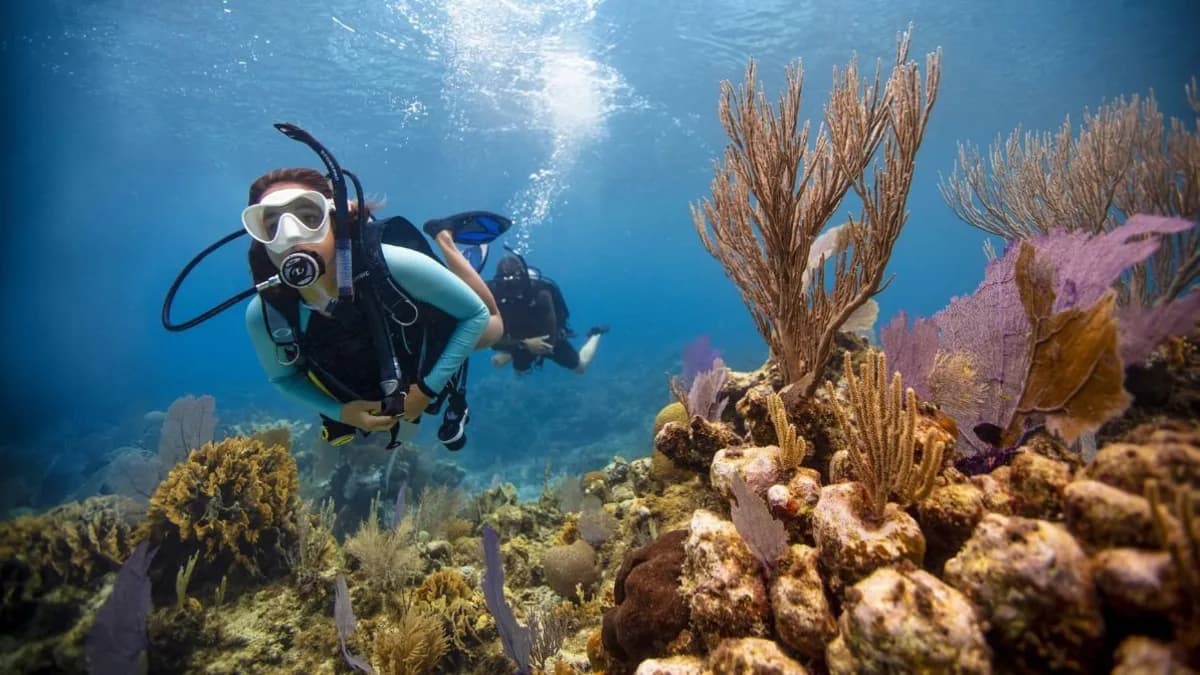 Open Water Diver