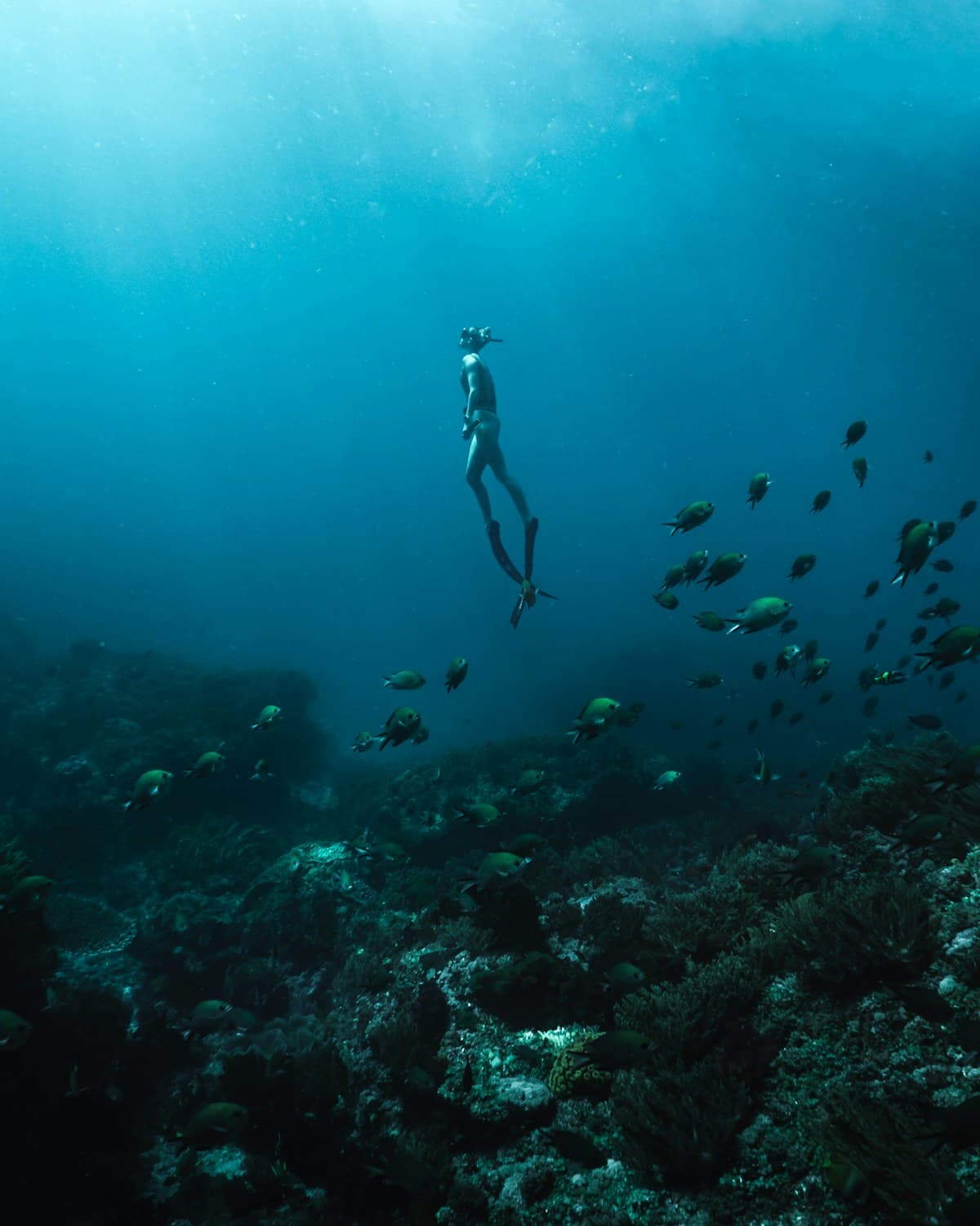 Simulazione di soccorso in piscina